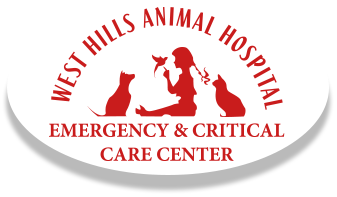 24hr veterinary emergency and critical care