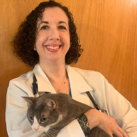 Meet Dr. Jennifer Sorowitz